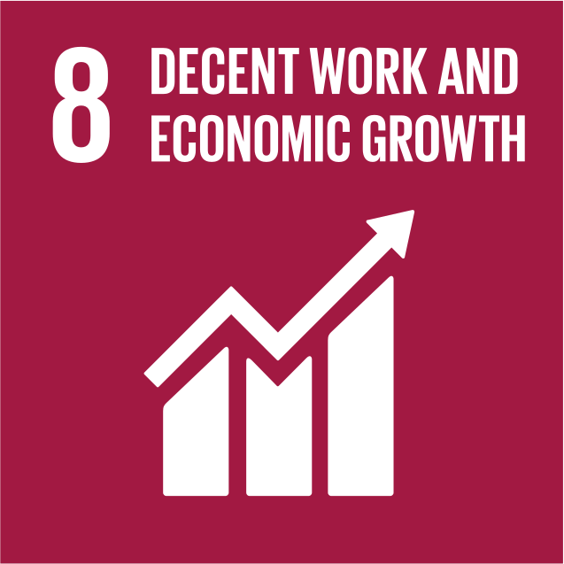 Sustainable Development Goal #8